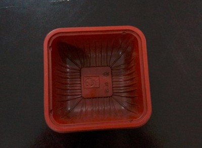 新忠盛吸塑制品廠 以專業(yè)制造，塑世界精彩